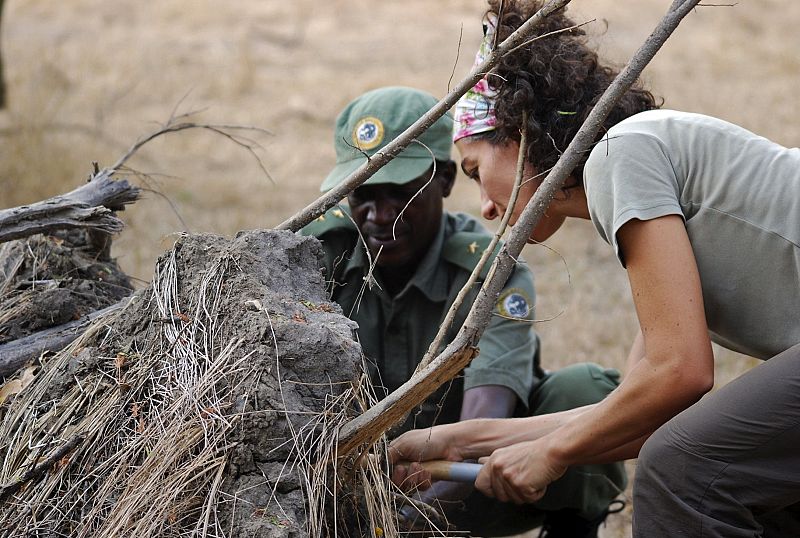 Descubren 22 nuevos tipos de hongos en Mozambique