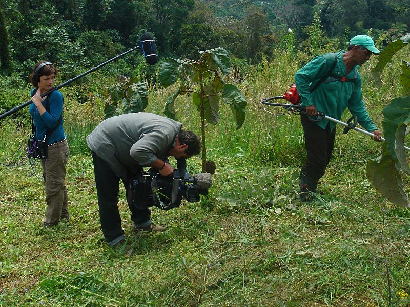 Colombia 2010
