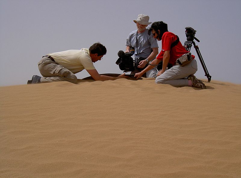 Sahara 2010