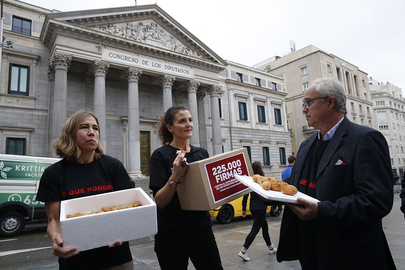 Cristina Romero, creadora de la petición en change.org bautizada como "croquetas ilegales", antes de entregar en el Congreso las firmas recogidas en su iniciativa que busca evitar el desperdicio de alimentos en los comedores escolares.