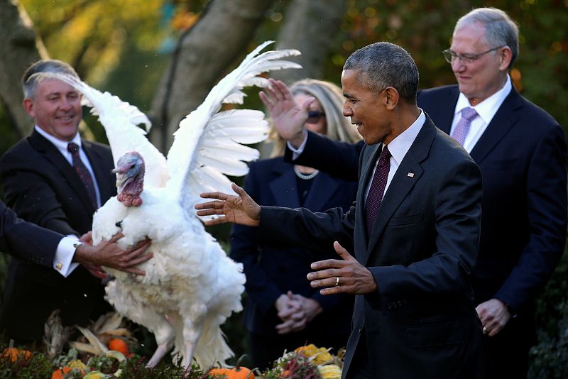 Obama indulta a su último pavo