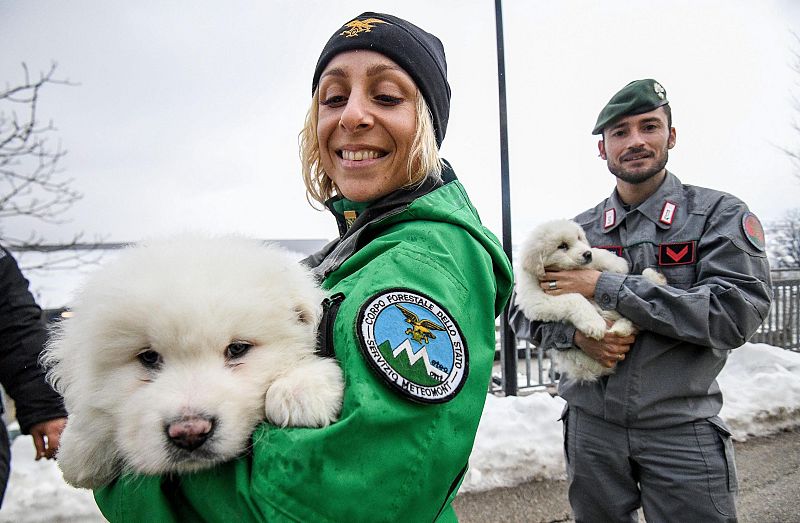 Supervivientes del alud de nieve en Italia