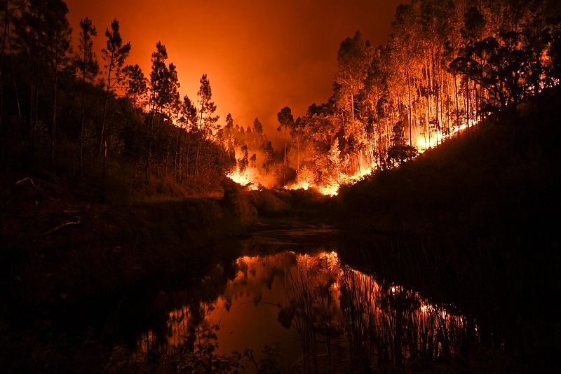 Un incendio asola el término municipal de Pedrógão Grande (Portugal)