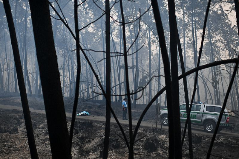 Un gran incendio asola el centro de Portugal