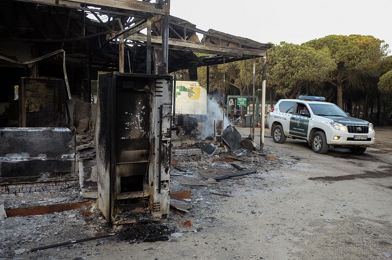 El Infoca ha pasado de 80 a más de 200 efectivos para luchar contra las llamas en el incendio declarado en Moguer en Huelva el pasado sabado