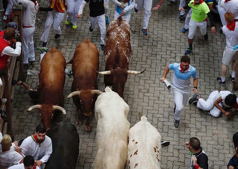 Dos toros castaños de los Jandilla cierran la manada al llegar al callejón de la plaza durante el quinto encierro de los Sanfermines 2017