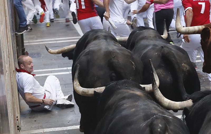 Los seis toros, cinco negros y uno castaño, de la ganadería madrileña de Guadalix de la Sierra, han permanecido muy hermanados todo el recorrido