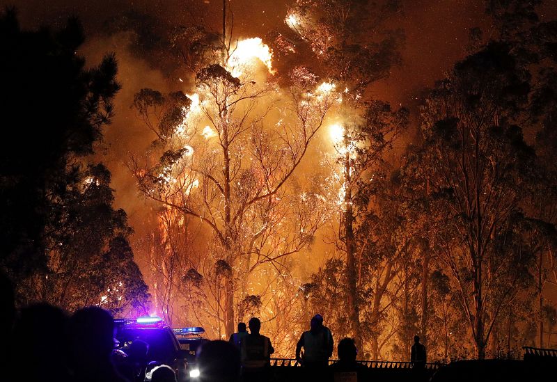 INCENDIOS FORESTALES EN GALICIA
