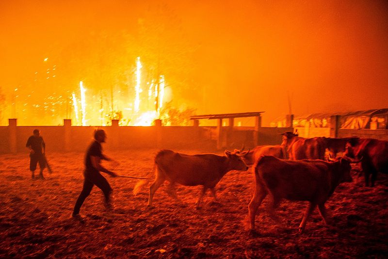 Incendio en Vieira de Leiria