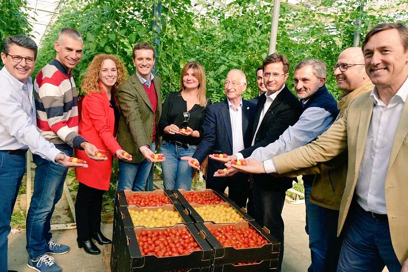 Tomates 'made in Spain'