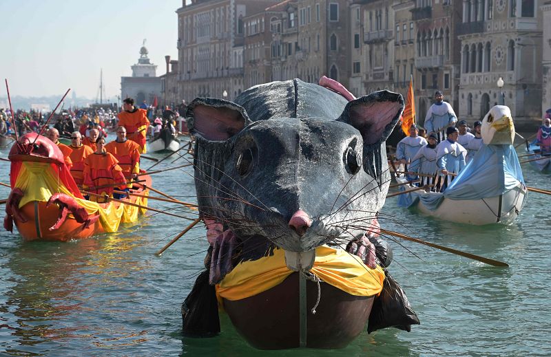 Los botes ricamente ornamentados se abren paso por el Gran Canal