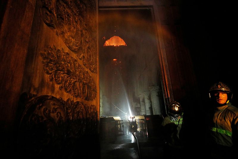 Llamas a la entrada de la catedral