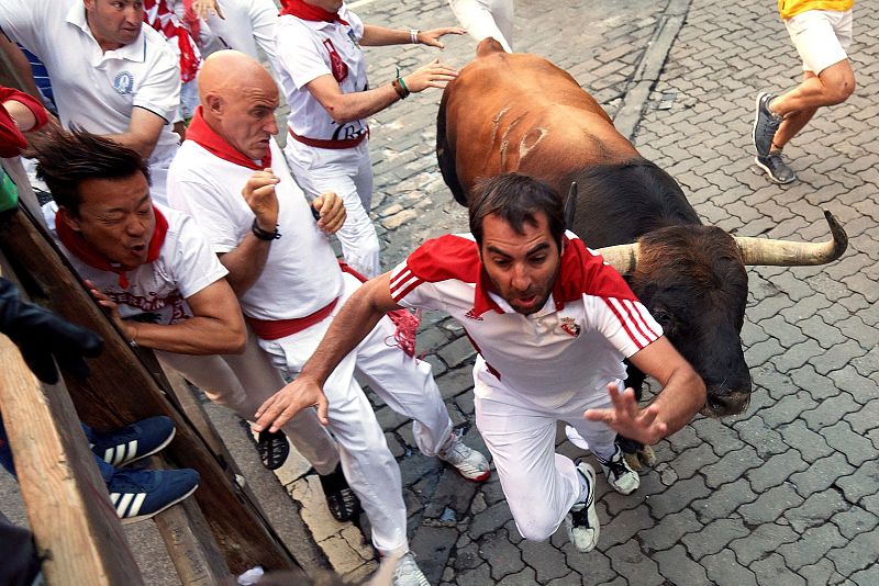 Un mozo corre delante de un astado