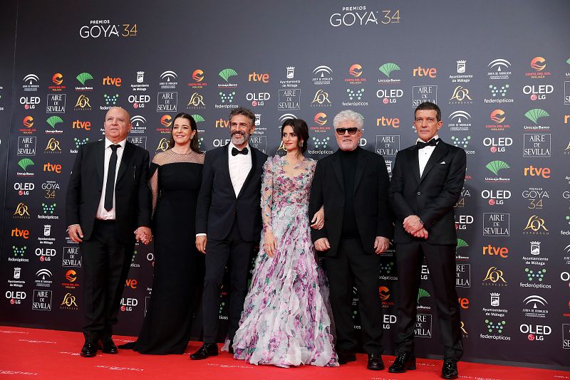 Goya 2020: equipo de la película 'Dolor y Gloria'