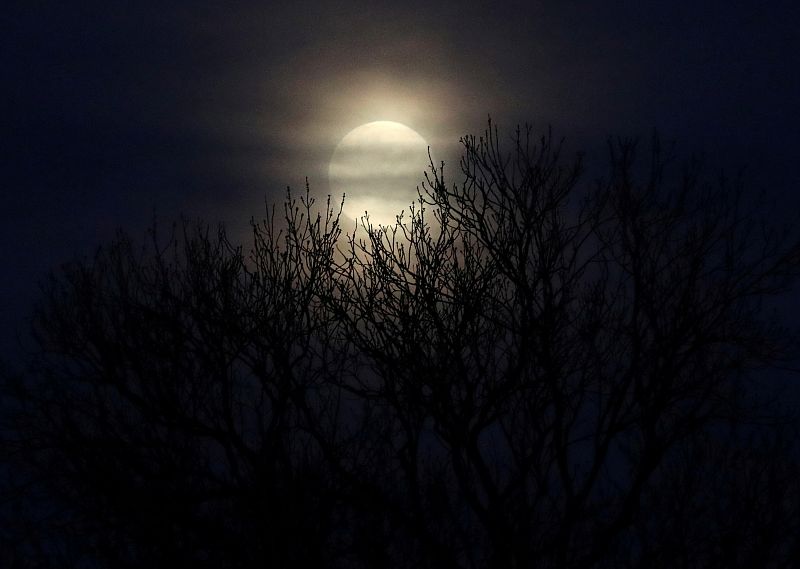 La superluna rosa ilumina Halle, Bélgica.