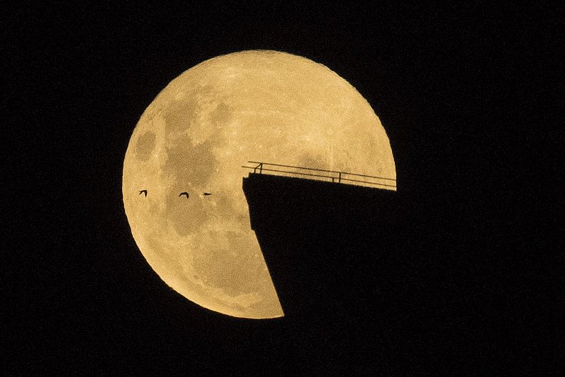 Se llama llama superluna porque está más cerca de la tierra y, por lo tanto, parece más grande que una luna llena normal.
