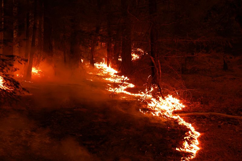 Casi 200.000 hectáreas han quedado calcinadas por el incendio 'Dixie', activo desde el 14 de julio. Se trata del segundo mayor fuego registrado hasta la fecha en California.