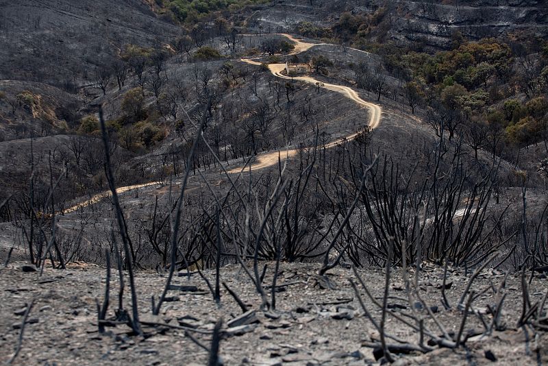 El avance sin control del incendio sigue dejando imágenes desoladoras a su paso y está obligando a que cada vez más personas tengan que ser desalojadas de sus casas ante el peligro de que se vean afectadas por las llamas