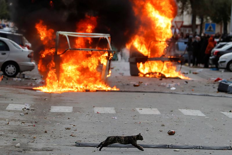 Un gato pasa por delante de una barricada levantada en las protestas en Puerto Real.