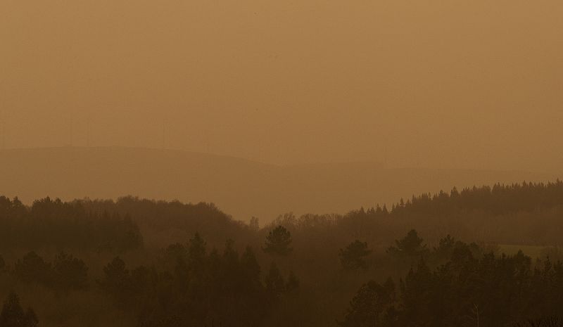 Parte del bosque de la Sierra del Careón, en Galicia, envuelto por el polvo