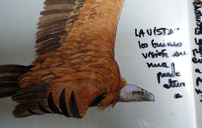 Buitres leonados 