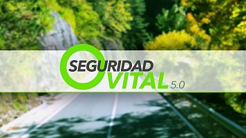 Seguridad Vital