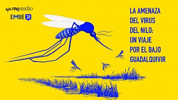 Virus del Nilo - P�dcast Esto Merece Una Explicaci�n