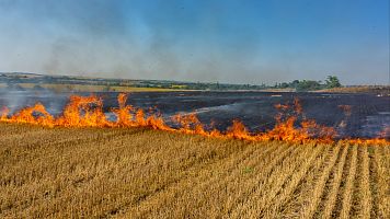 Mundo rural - Impacto de los incendios en el turismo rural - 01/10/25