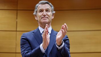 El l�der del PP, Alberto N��ez Feij�o, interviene en el Senado