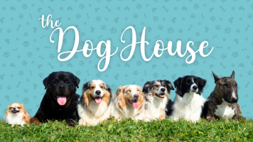COM Dog House NACIONAL