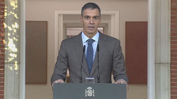 El president del govern, Pedro S�nchez, en la compareixen�a institucional aquest dilluns al mat�