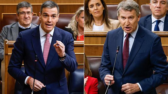 Barmetro CIS mayo 2025: Pedro Snchez y Alberto Nez Feijo, en sesin de control en el Congreso de los Diputados