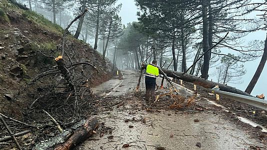 Temporal de viento en M�laga
