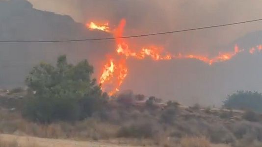 Al menos seis muertos en un incendio forestal en Los Gallardos, Almer�a