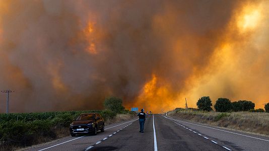 Llamas y humo procedentes del ncendio forestal de Fermoselle, Zamora