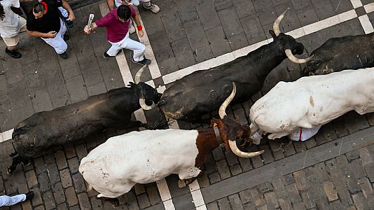 Aspecto de la manada de los Miura en el octavo y ltimo encierro de sanfermines 2023