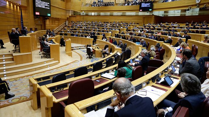 Un instante del pleno del Senado que ha aprobado la ley de Proteccin de Datos y Derechos Digitales