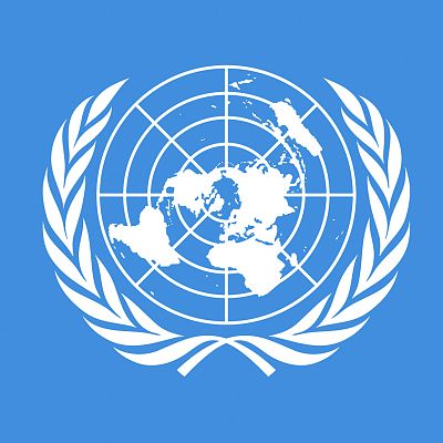 Presta especial atencin a los contenidos marcados como prioritarios por la ONU