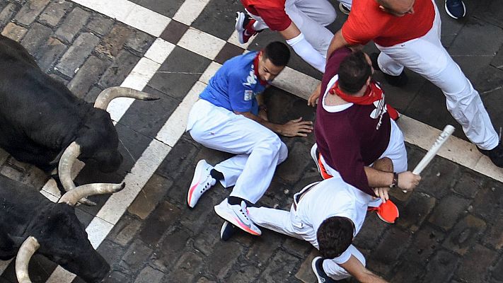 Sanfermines  encierro de la ganader�a La Palmosilla