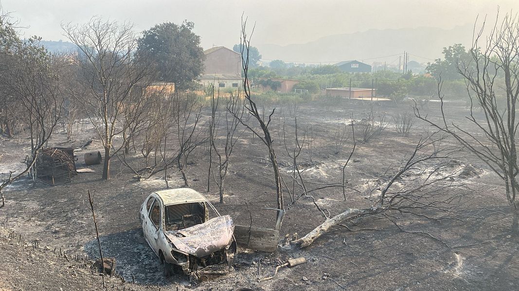 Imatge del pas de Incendi de Pals per Xerta
