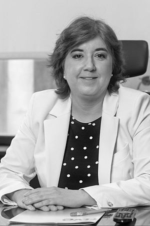 Concepcin Cascajosa Virino