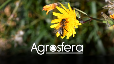 COM Agrosfera