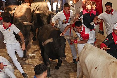 San Fermn: los Miura han hecho una espectacular entrada en el callejn de la plaza