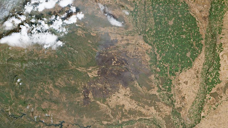 Incendio en Ua de Quintana (Zamora)
