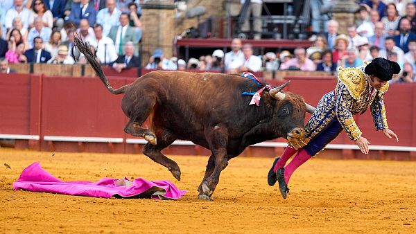 Cogida de Morante de la Puebla en la plaza de la Maestranza de Sevilla