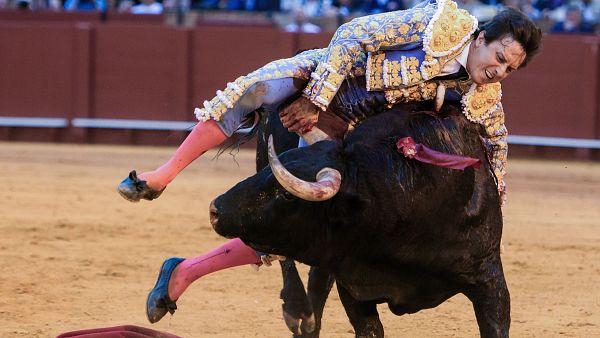 Momento en el que un toro coge a Roca Rey en la plaza de la Maestranza de Sevilla