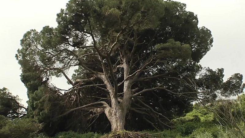 frame_12_20260424_155316760000