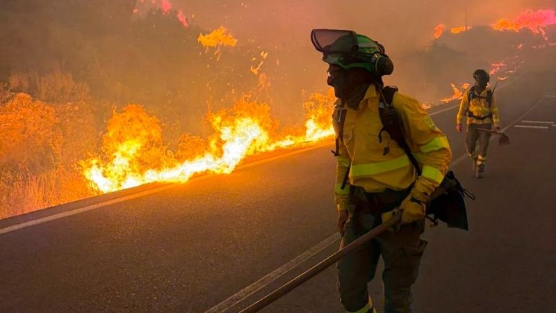 Al menos 12 muertos en un incendio forestal en Los Gallardos, Almer�a
