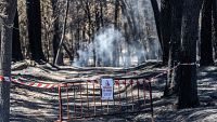 �Cu�les son las consecuencias de provocar un incendio?