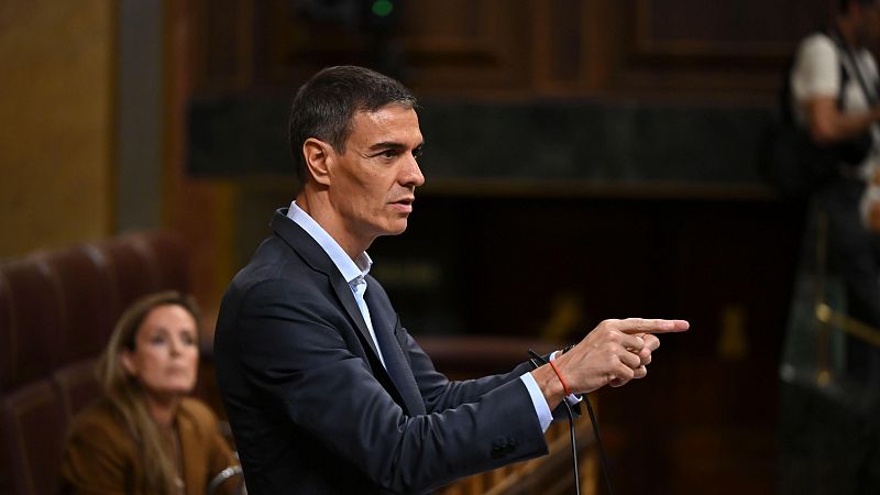 El presidente del Gobierno, Pedro S�nchez, en una comparecencia en el Congreso de los Diputados en Madrid.